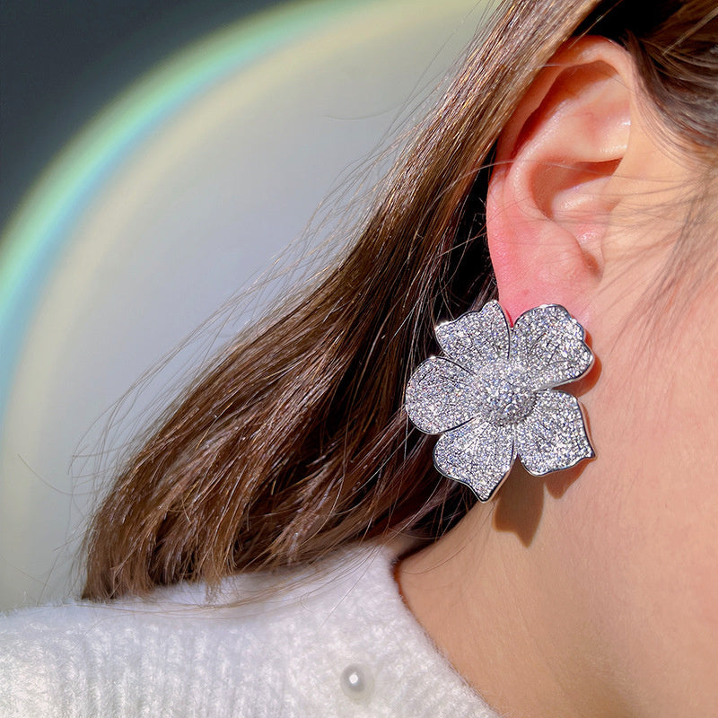 Women's Zircon Gradual Color Earrings