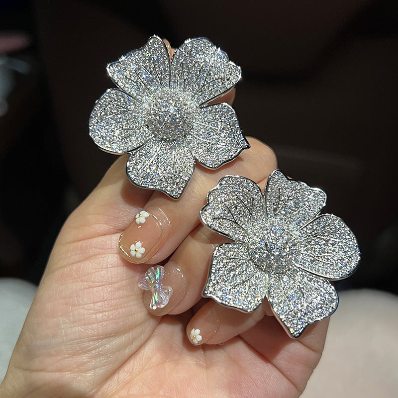 Women's Zircon Gradual Color Earrings