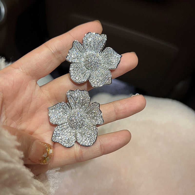 Women's Zircon Gradual Color Earrings